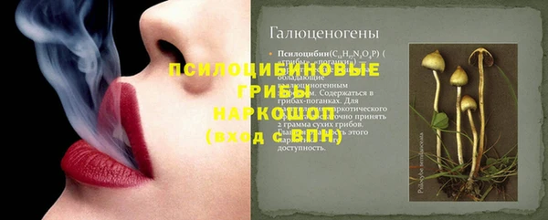 дмт Арсеньев