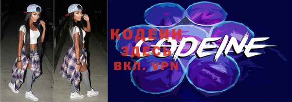дмт Арсеньев